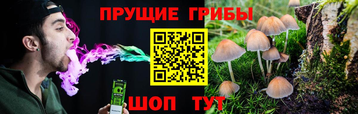 Псилоцибиновые грибы Psilocybe  Вход с VPN  Крымск  Галлюциногенные грибы Psilocybe 